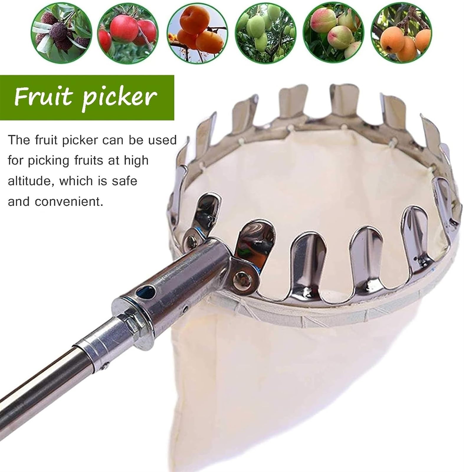 Raccoglitore di frutta, asta per raccoglitore di frutta con manico telescopico e borsa per la frutta, strumento in acciaio inossidabile, pratico aiuto per la raccolta di pere, limoni, arance (B, 6 m