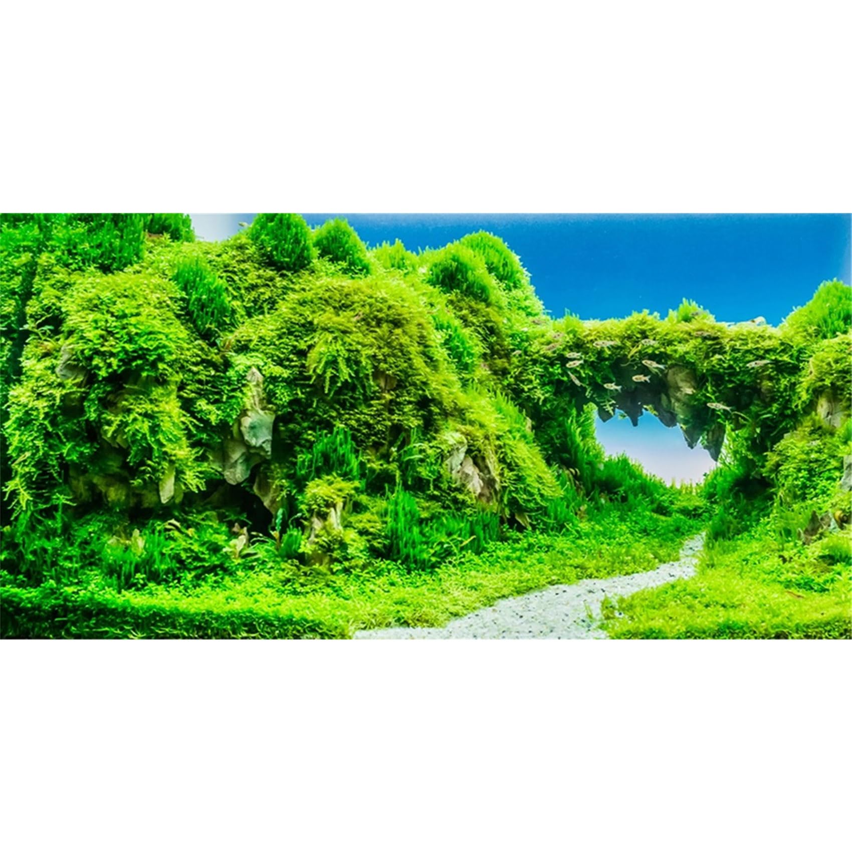 MIRRORANG 76x30cm Aquarium Background Green Trees Plant Reptile Habitat Fish Tank Background Bearded Dragon Vivarium Background Vinyl โ image 1