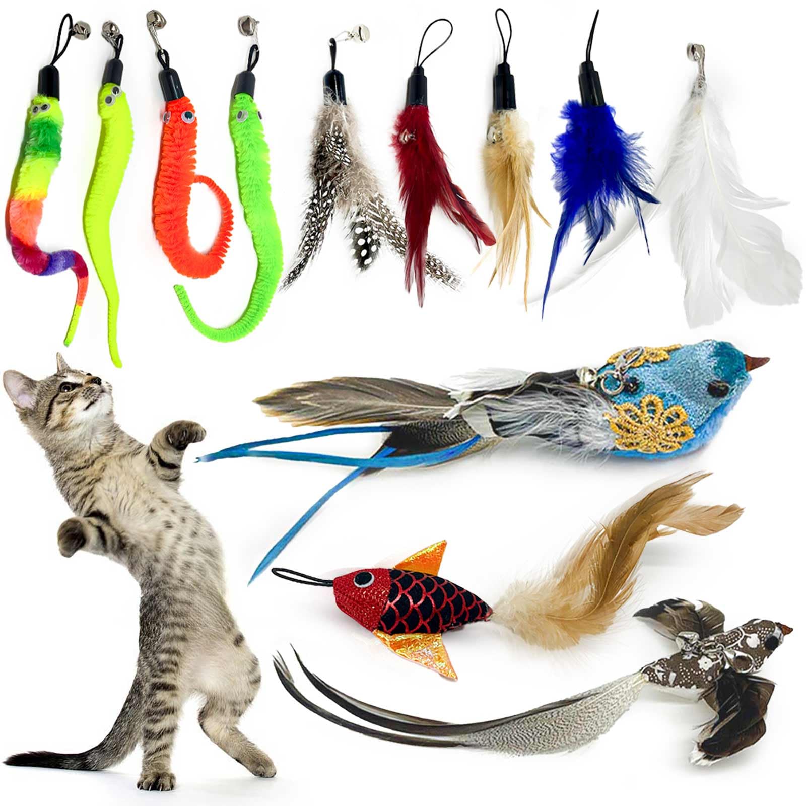 Dulooca Cat Toys 12-Piece Interactive Feather and Bird Toy Set with Wall Mounted Holder for Indoor Cats, Includes 2 Birds, 4 Worms, 6 Feathers