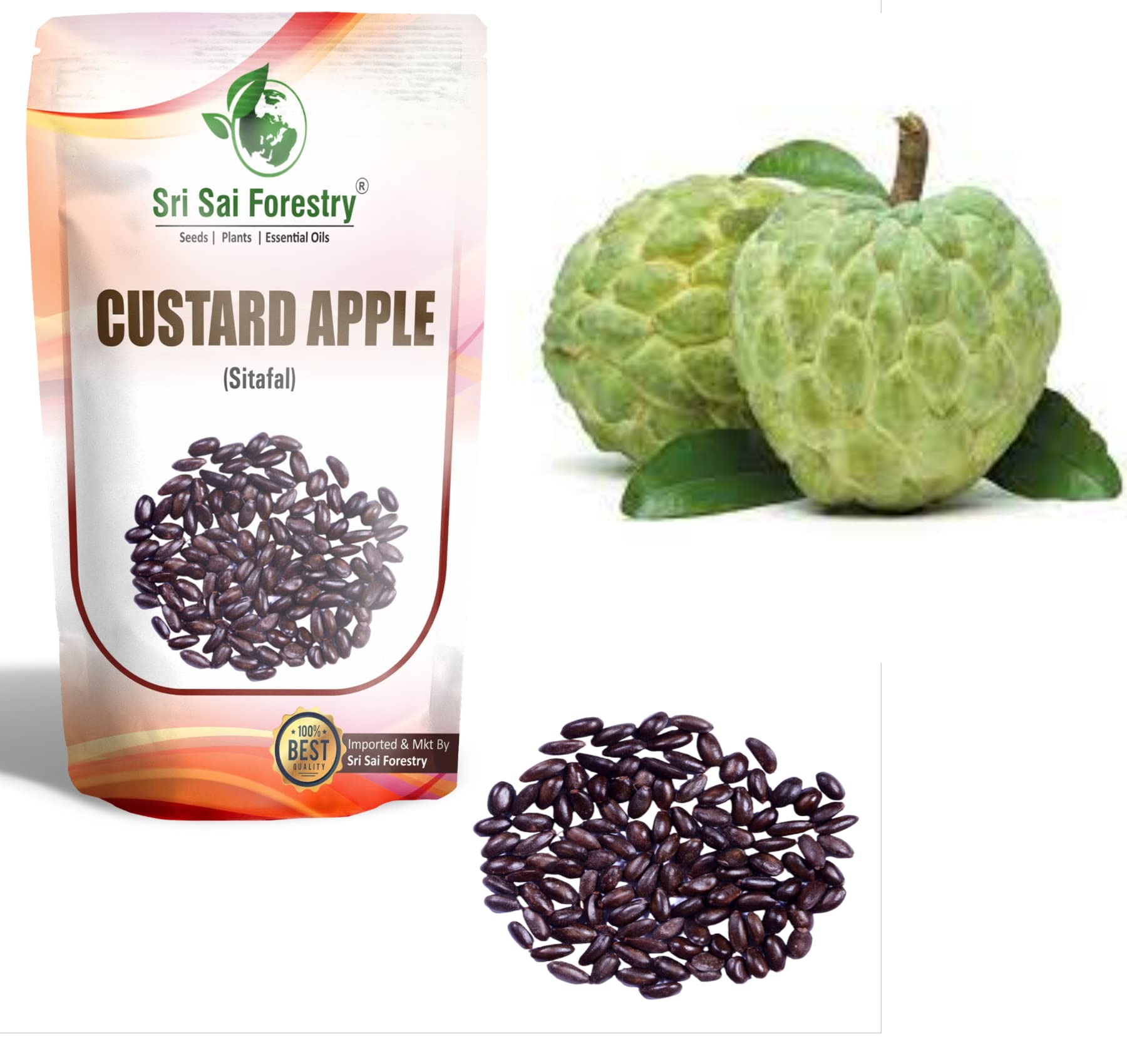 SRI SAI FORESTRY Custard Apple Seeds Sitafal SeetaPal Suga Apple Fruit Tree Seed for Avenue Garden - 100 G (B08LSW8X2P) Amazon Price History, Amazon Price Tracker