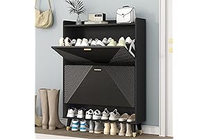 Slim and Stylish: ShoeCare Shoe Storage Cabinet with Foldable Drawers