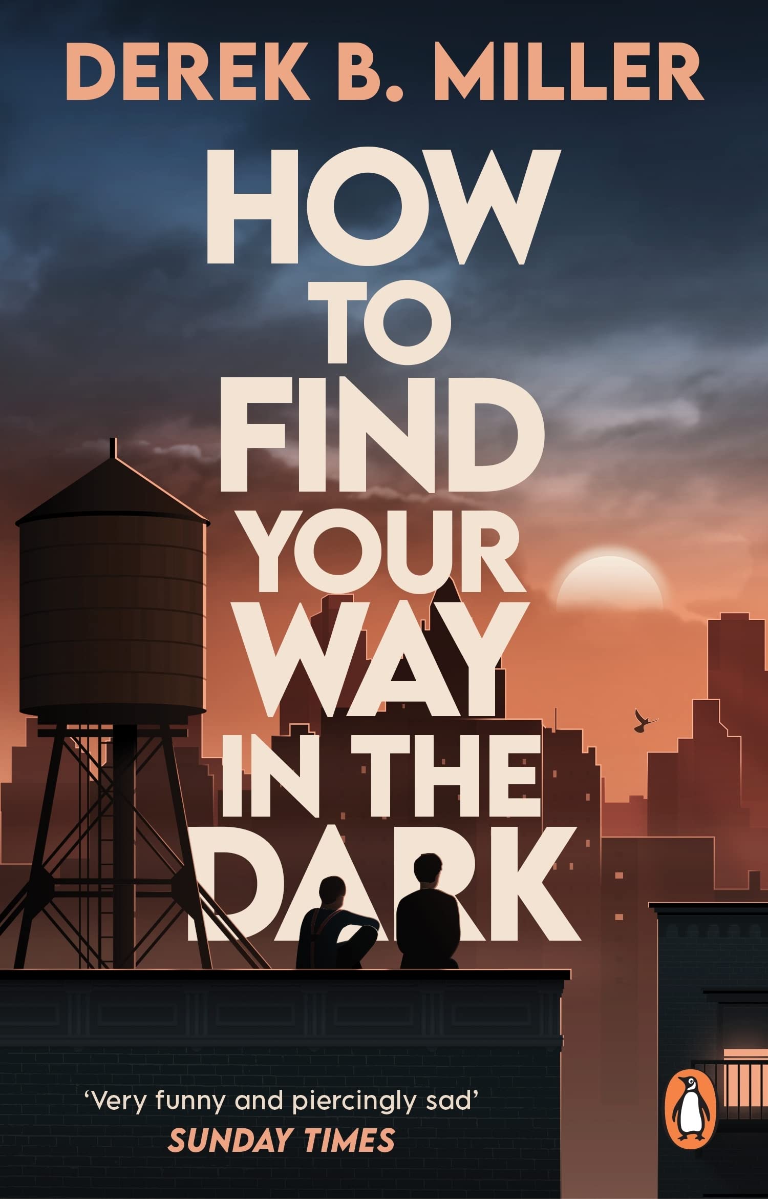 How to Find Your Way in the Dark by Derek B Miller PAPERBACK 9781529176858