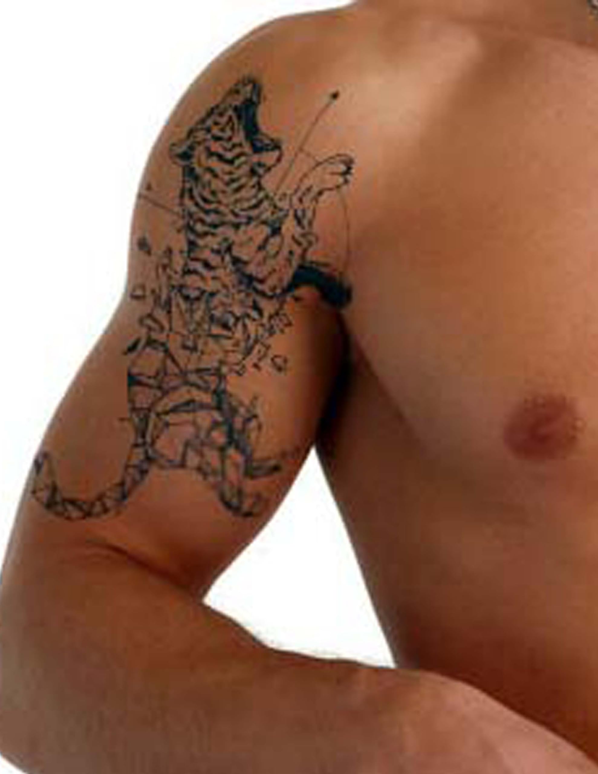 Geometrik ve Kübik Kaplan Tasarımlı Yarı Kalıcı 1 Ay Kalıcı Geçici Dövme Kol ve Omuz Tattoo