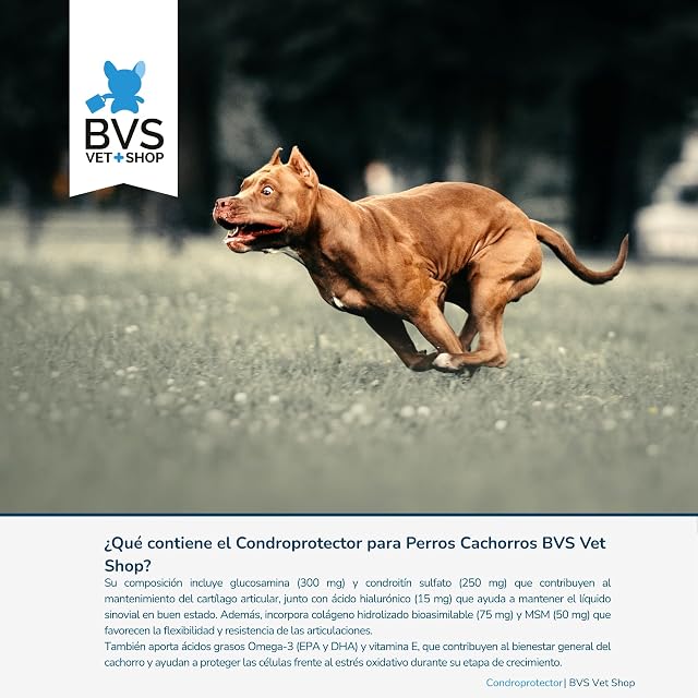 Foto 5 de 8 de BVS Vet Shop