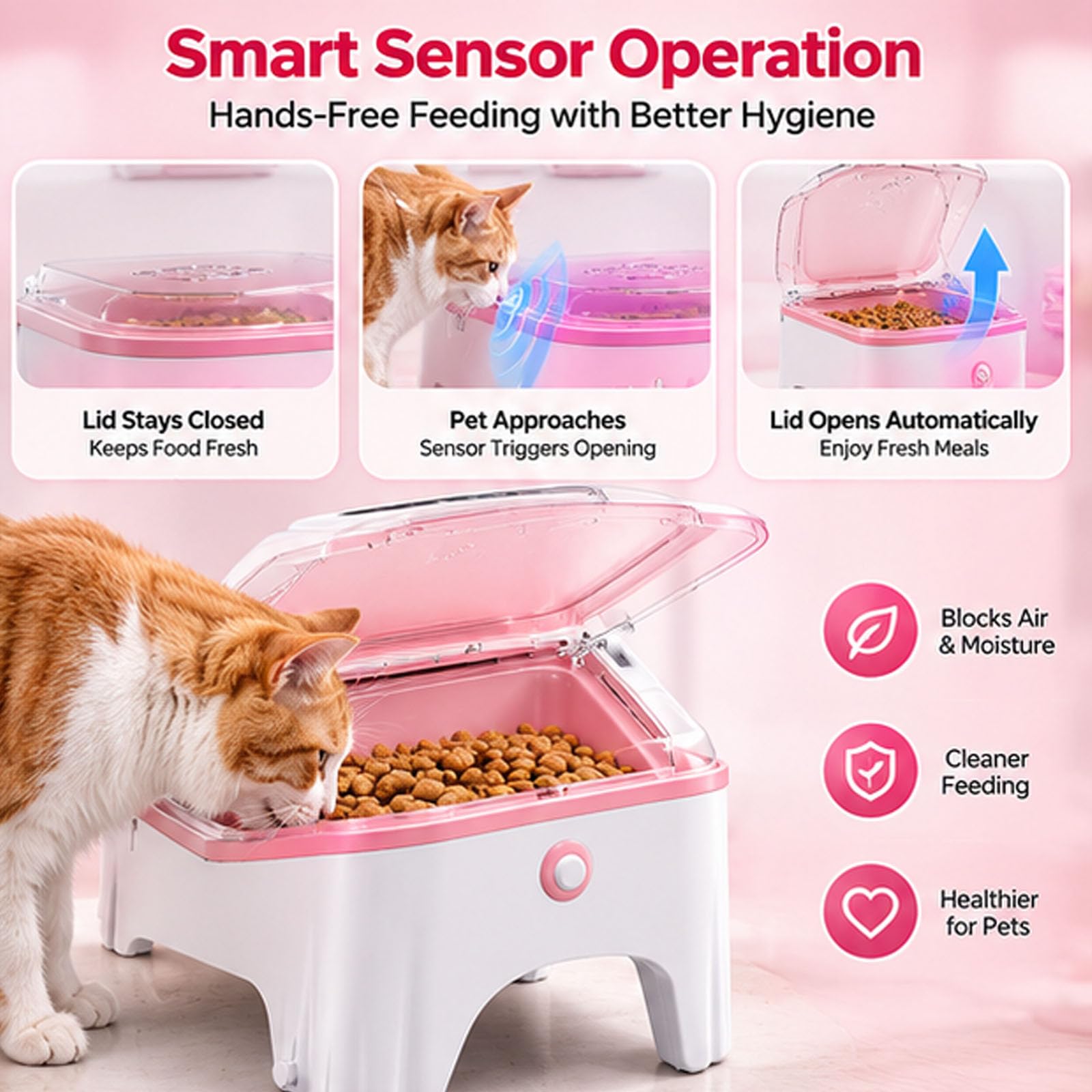 Ciotola per Animali Automatica per Gatti Elettrica per Cibo Secco