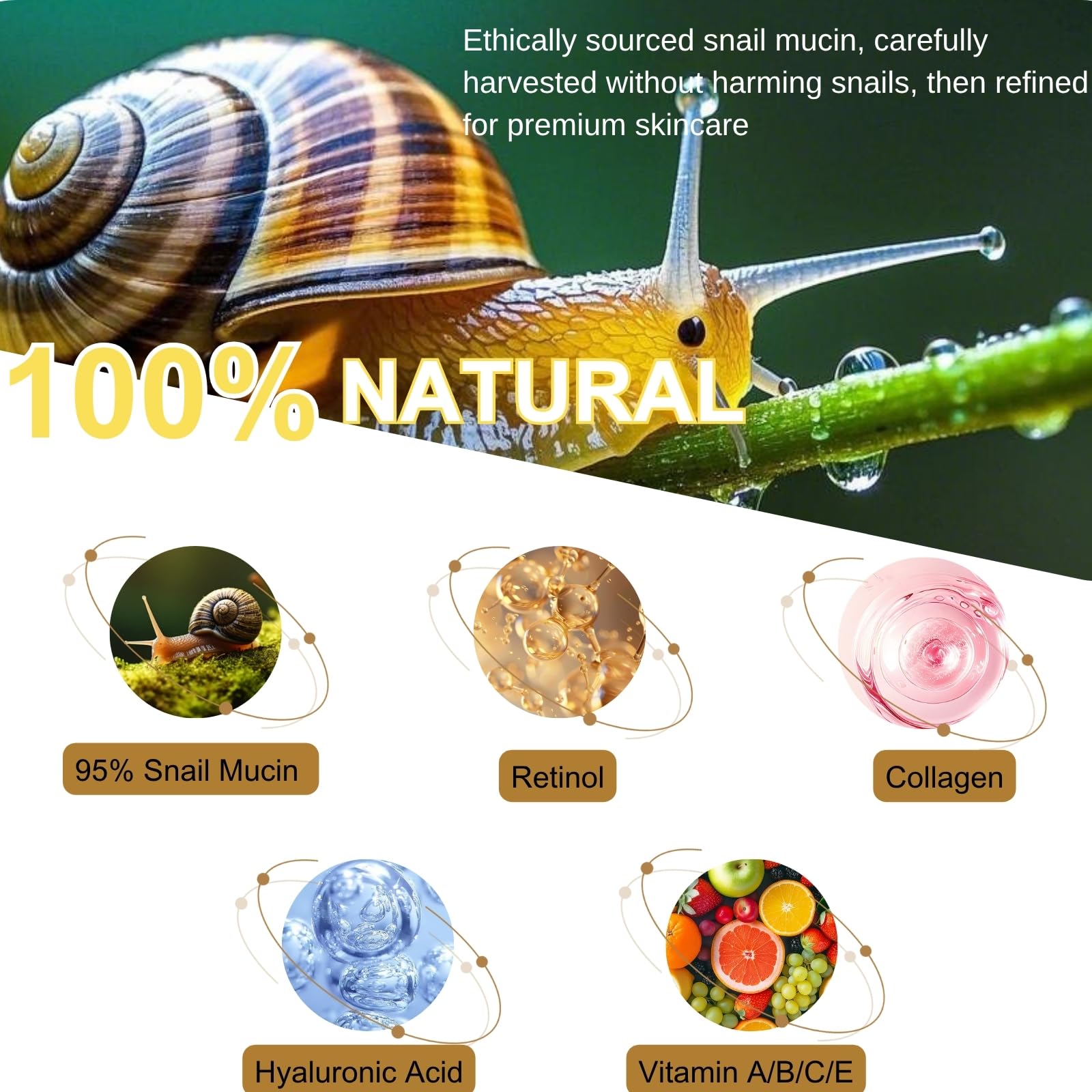 95% Snail Mucin Moisturizer, Natural Snail Mucin Serum Face Cream, Deep Hydration & Skin Repair Cream for Day & Night - Image 3