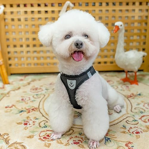 Miniatura 7 de PUPTECK Juego de arnés ajustable para perro, collar y correa sin tirones, arnés para mascotas para perros pequeños y medianos, cachorros y gatos,