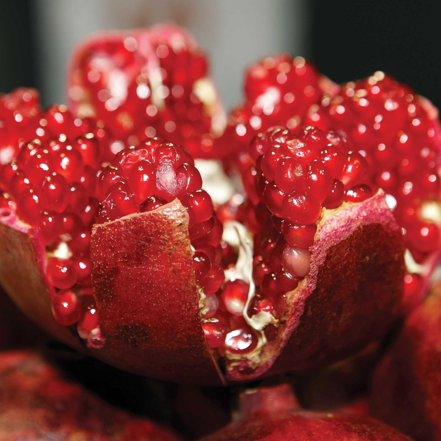 YASOU Vegan Lip Elixir (10ml) | For Dry Chapped Lips | Naturally Plumps | Diminishes Fine Lines | Handmade