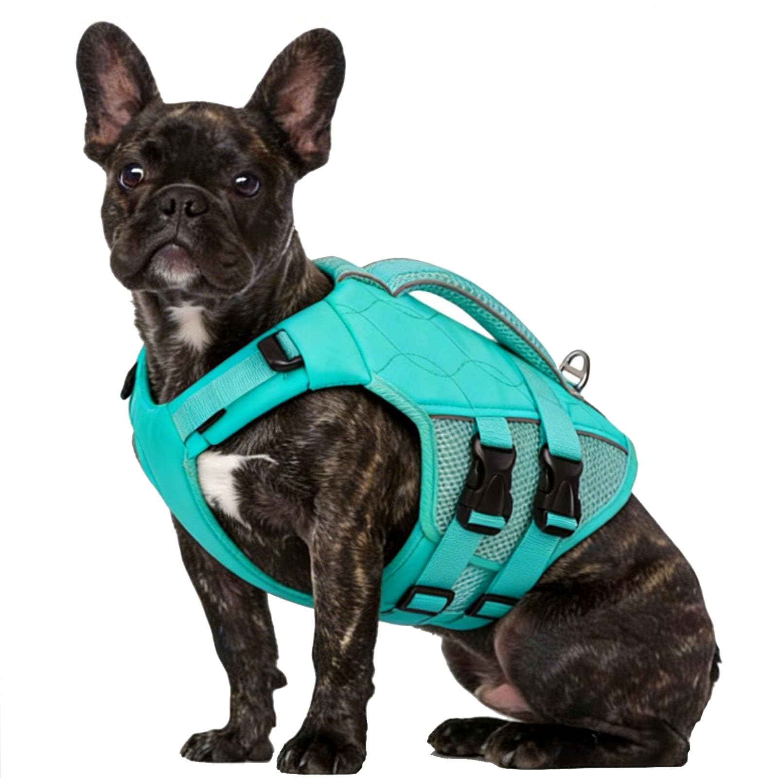 KONVINIT Dog Life Jacket for Small Dogs, Lightweight High Buoyancy Dog Life Vest with Rescue Handle & Reflective Stripes, Ripstop, Dog Buoyancy Aid for Water Safety,Xs โ image 1