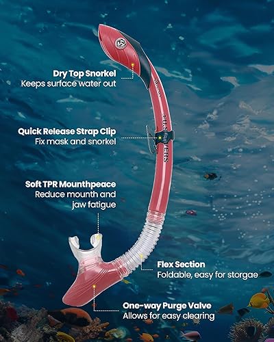 Miniatura 3 de OutdoorMaster x U.S. Divers Cozumel Adult Snorkel Mask Set & Snorkeling Gear Set Anti-Fog Anti-Leak Diving Mask for Travel