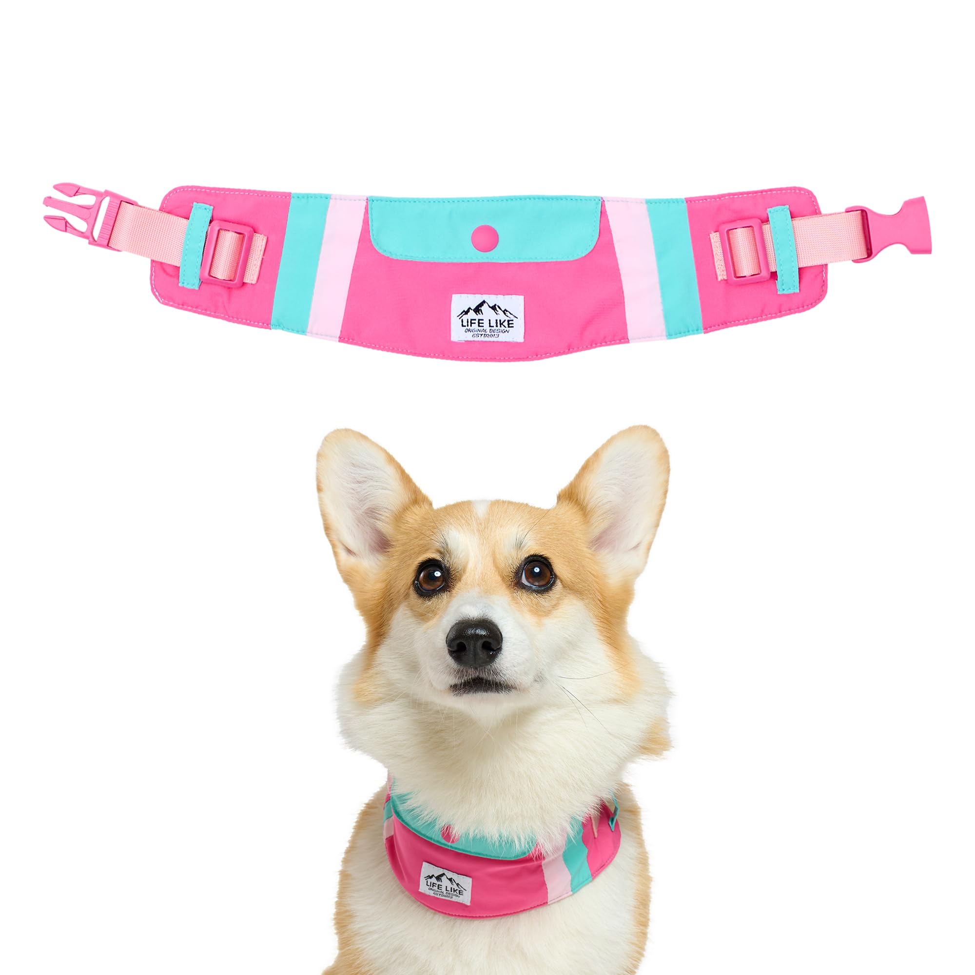 Amazon | 【LIFELIKE公式】ビタミンカラーバンダナ S M L 犬 クール