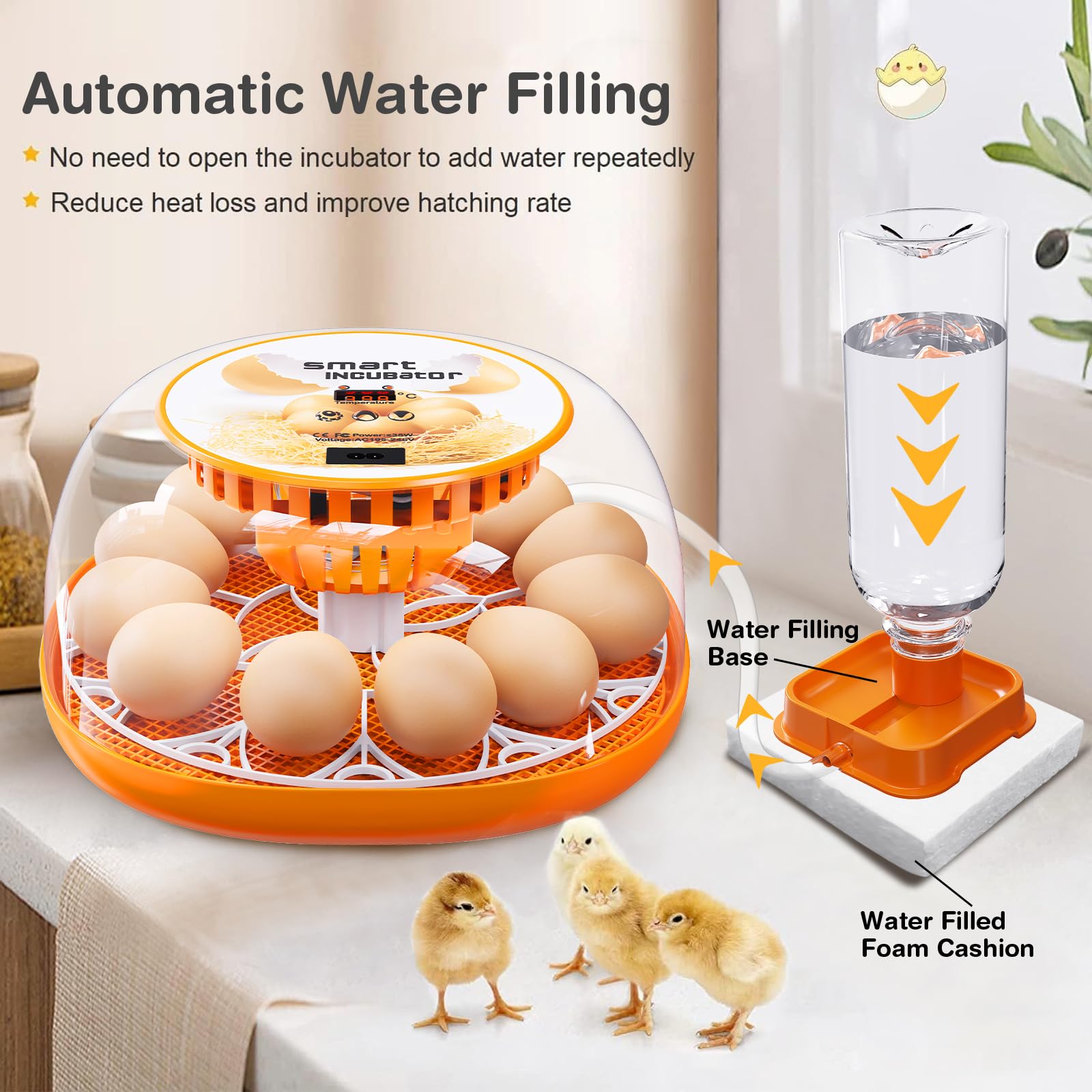 Amazon.com: 12 Egg Incubator with Automatic Egg Turning and