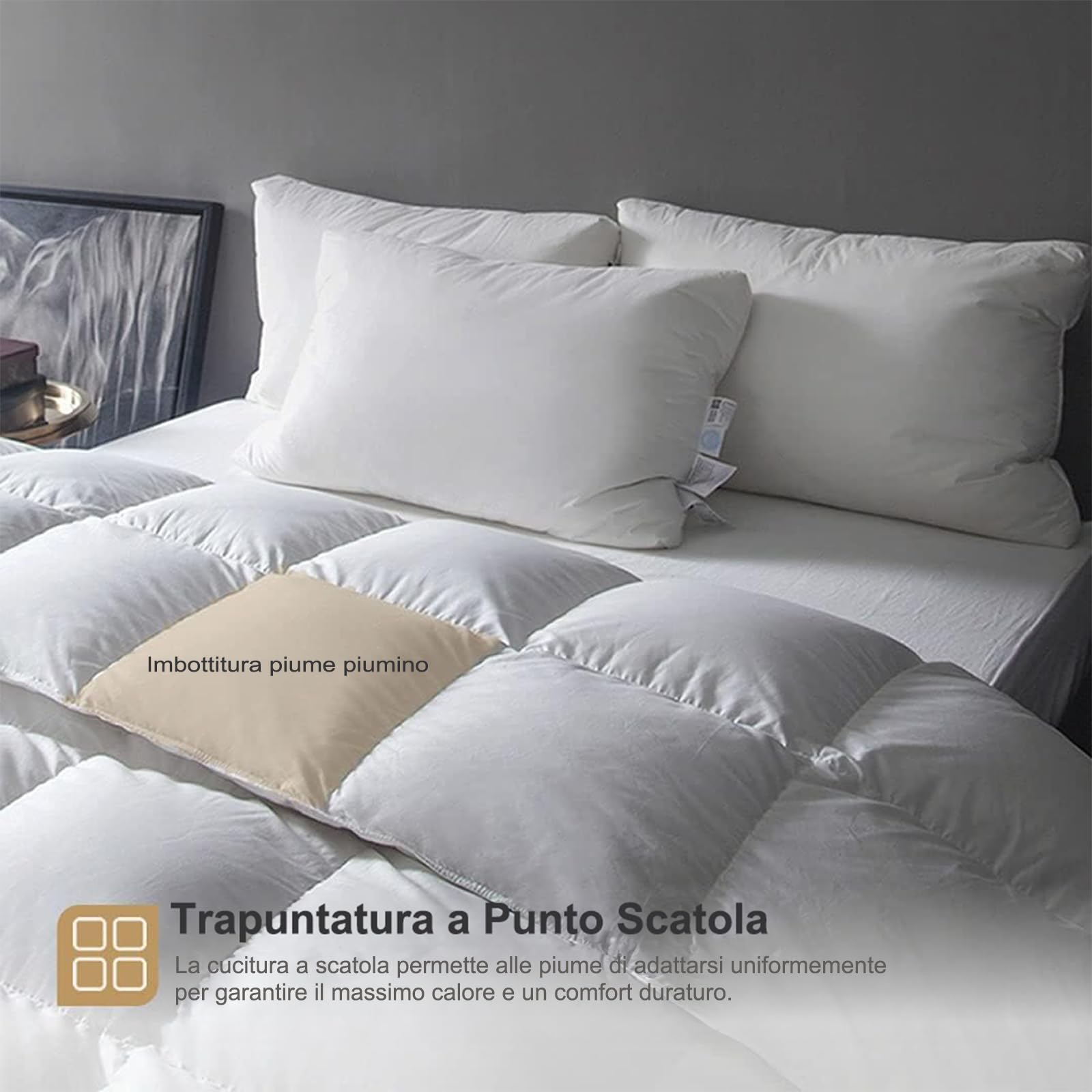 DWR Piuma d'oca e Piumino,Piumino Estivo Letto Matrimoniale - Piumone Leggero 220x240 cm,100% cotone biologico,piumino e piume, Certificato Oeko-Tex e RDS, bianco