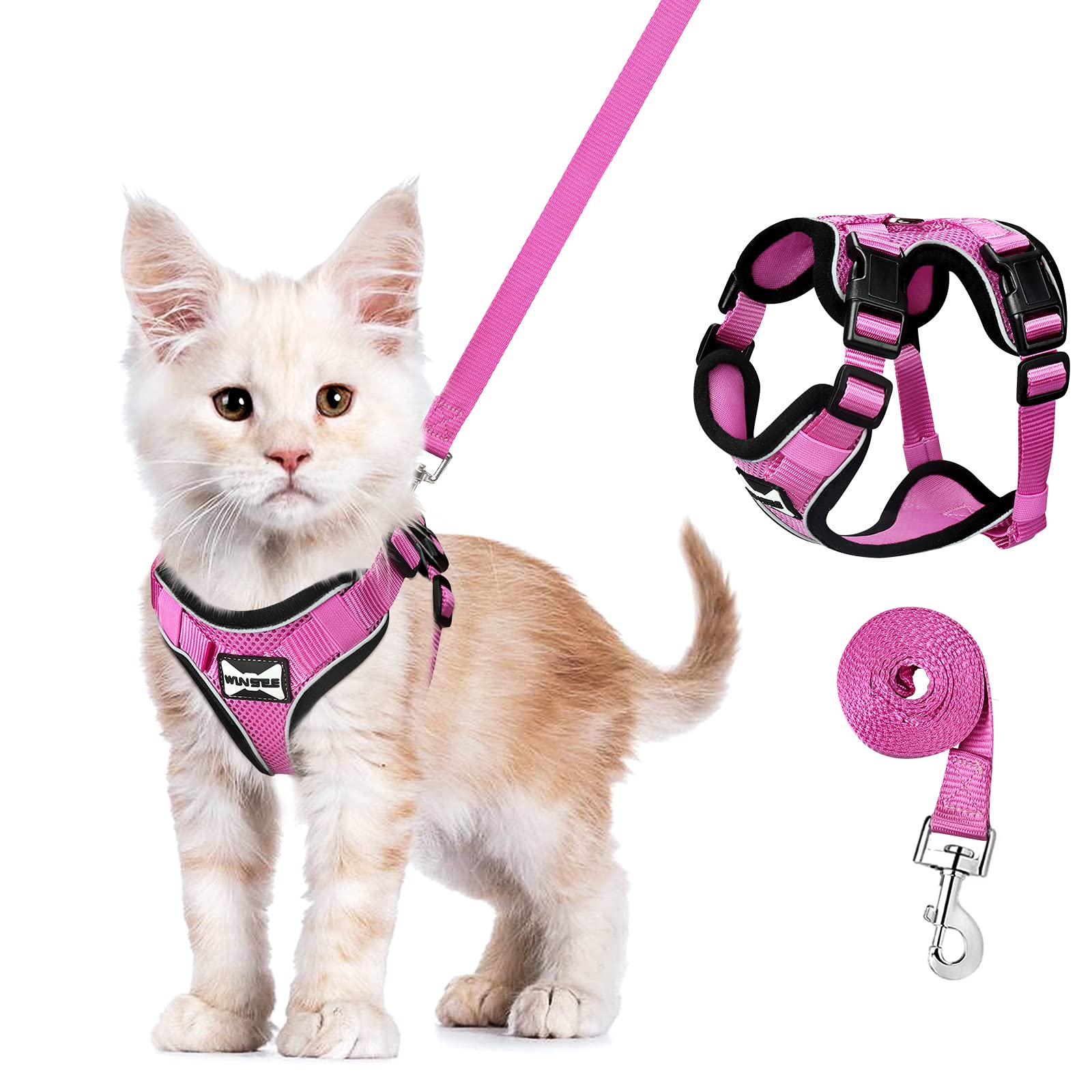 WINSEE Small Dog Harness and Leash with 4 Buckles for Big Cat,Escape Proof Breathable Cat Harness for Walking, Soft Adjustable No Pull Vest Harnesses for Cats/Small Dogs