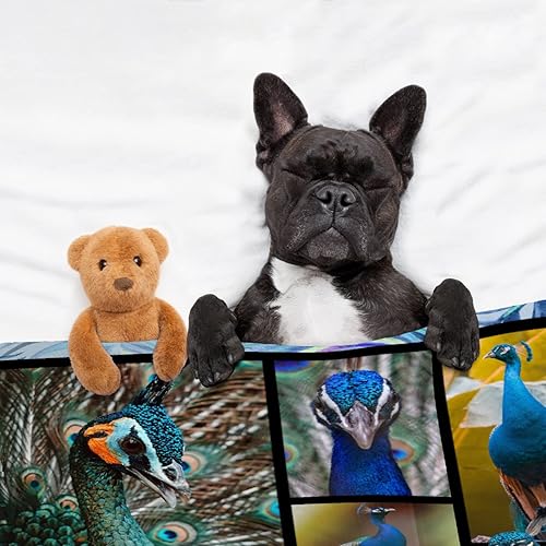 Miniatura 6 de Manta de pavo real, manta divertida de animales de pavo real, manta de felpa para niños pequeños utilizada para la cama y el sofá, ligera,