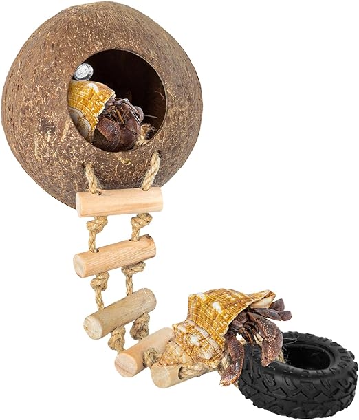REPTIZOO Hermit Crab Coconut Shell Hideout, Leopard Gecko Hide Cave with Ladder, Reptile Coco Hut Cave Habitat with Suction Cup Terrarium Décor for Crested,Hermit Crab, Lizard, Leopard Gecko