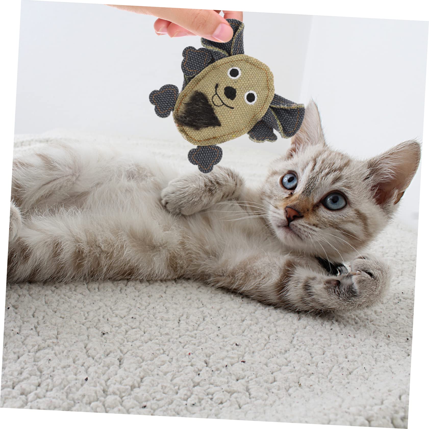 POPETPOP 15pièces Jouets pour Chats Toile De Souris Longues Et pour Chats Jouets Interactifs pour Éveiller Et Amuser Intérieur