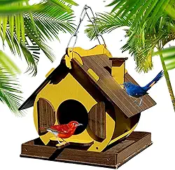 Casinha De Passarinho Passáros Livres Silvestres Ecológico (Amarelo)