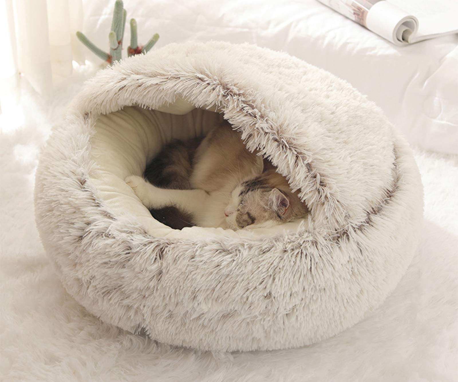 Xpnit Cama para Gatos Cueva,Cama Redonda para Mascotas,Suave,con Capucha,para Gatos y Perros pequeños,Bolsa de Dormir Suave y autocalentable,Lavable A Máquina para Gatos (40cm,Beige-A)