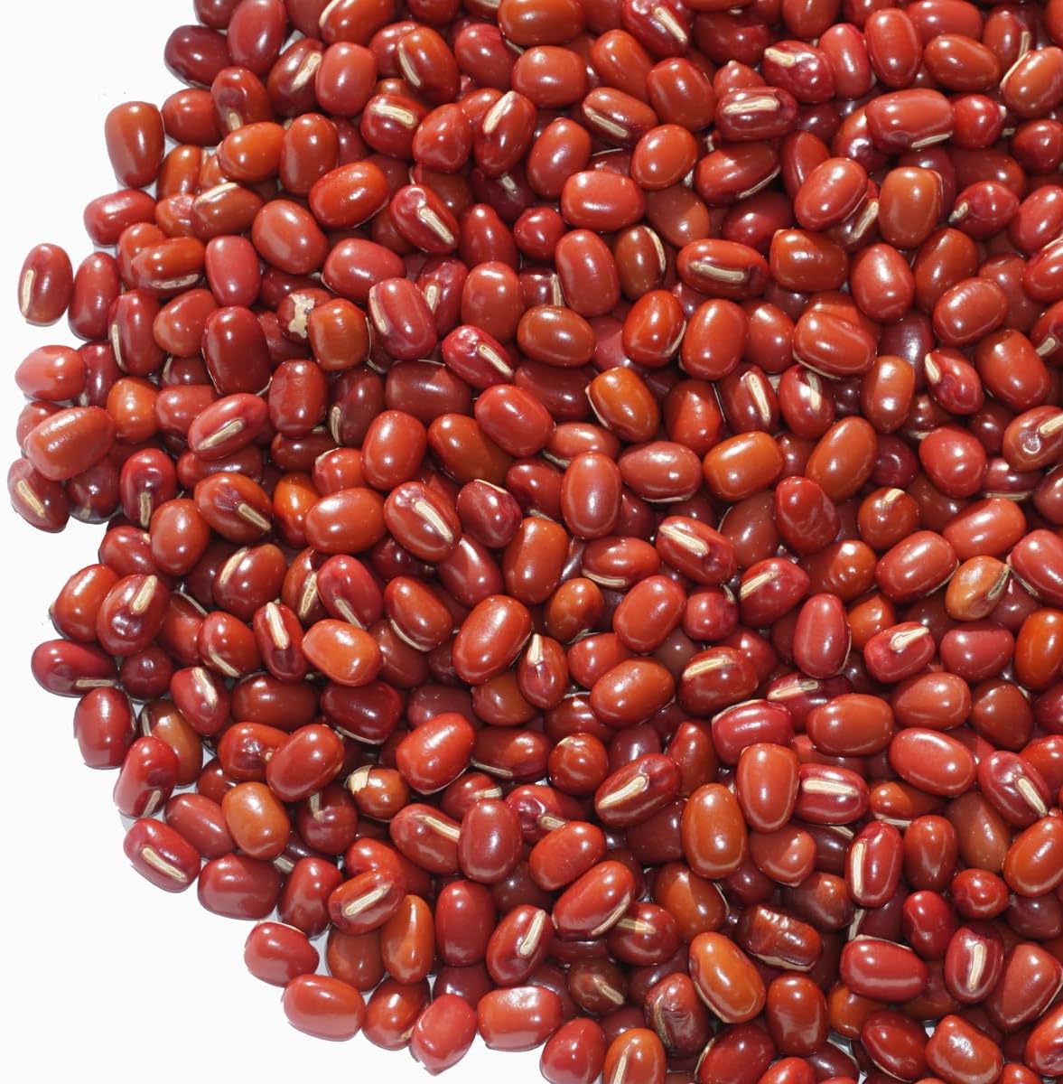 アメ横 大津屋 北海道 十勝産 小豆 azuki bean アズキ 荅 あずき アメ横 大津屋 北海道 十勝産 小豆 azuki bean アズキ 荅 あずき