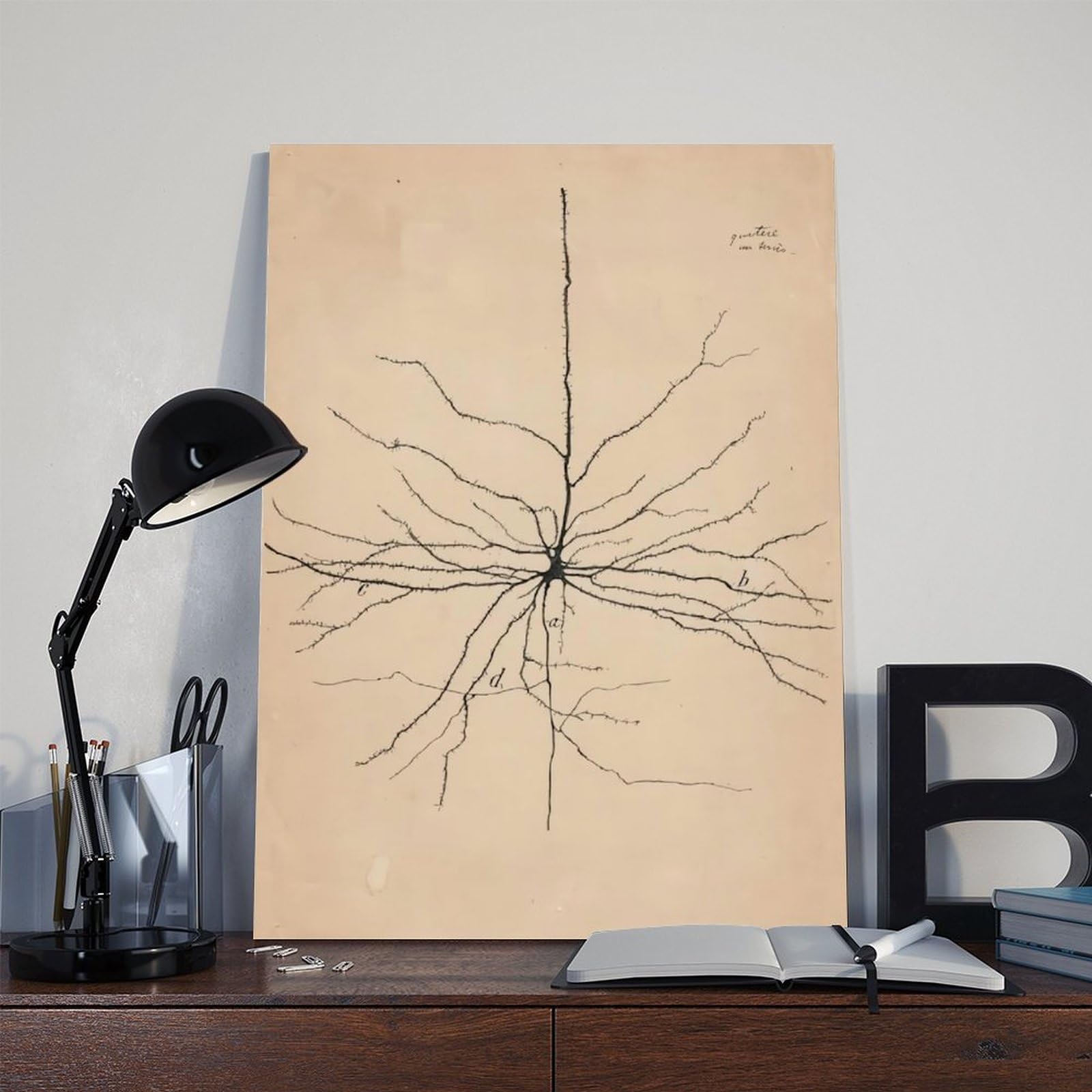 GIEIG Pyramida Neurona Dibujo de Santiago Ramón Y Cajal Póster para Estética de Habitación Lienzo Arte de Pared Marco de 12 x 18 pulgadas (30 x 45 cm)