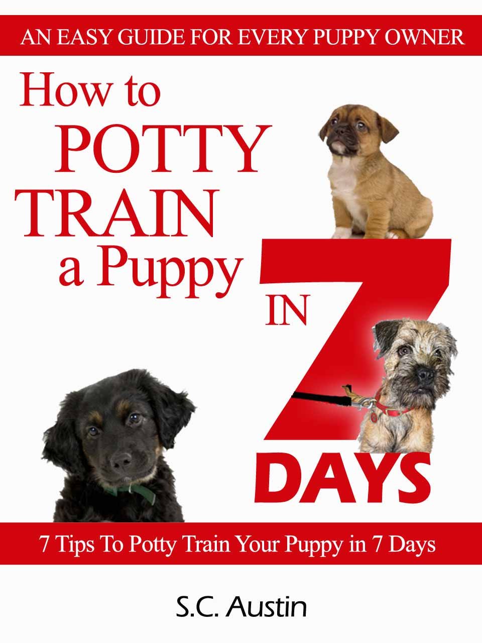 How to Potty Train A Puppy in 7 Days "7 Tips To Potty Train Your