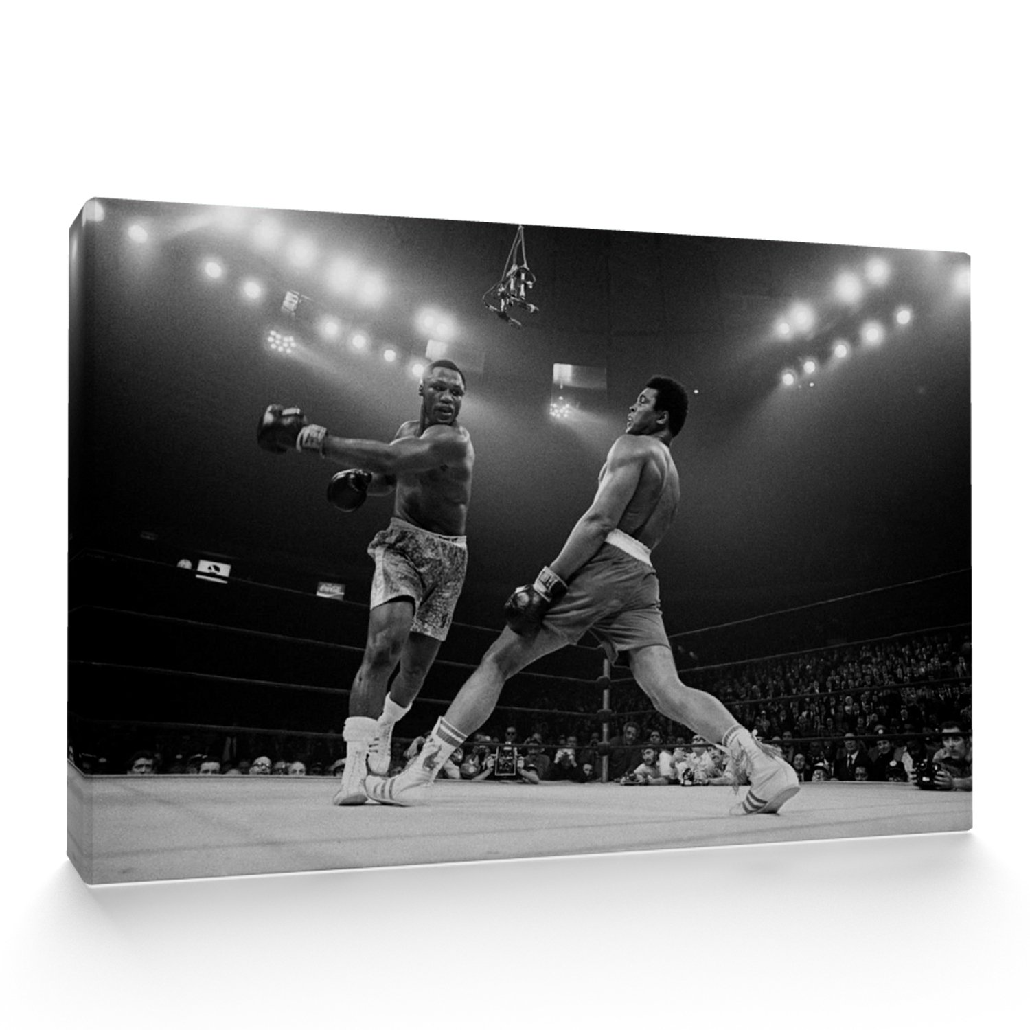 Muhammed Ali Print Canvas (14x20 inches)