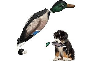 Duck Dummy Bumper: Mimicking Dead Duck Toy for Canine Training