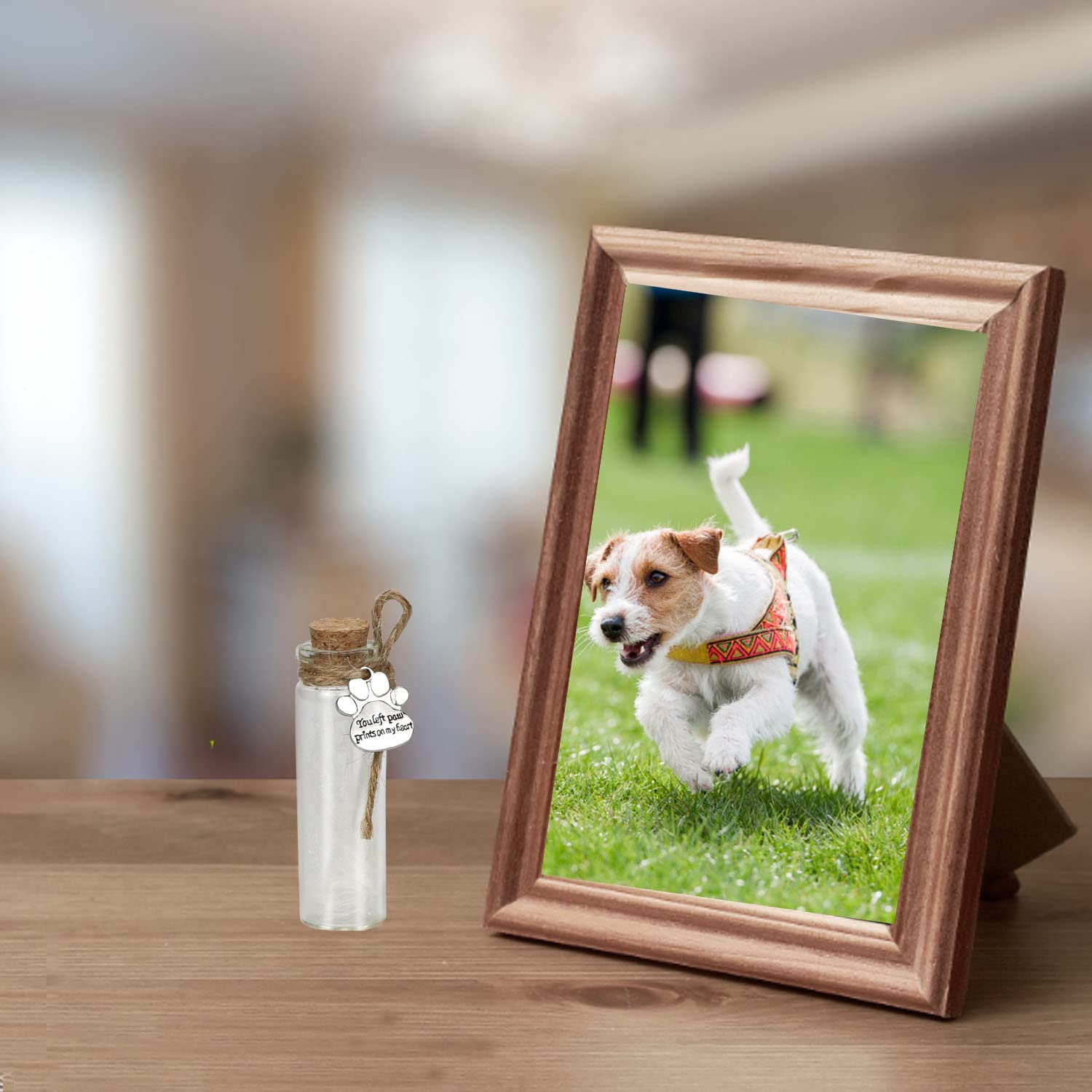 free-space Bottiglia commemorativa per peli di Animali Domestici, fiala di Vetro per Cenere o Capelli Cane o Gatto ricordo Regalo per la Perdita di Animali Domestici (2pcs Bottle)