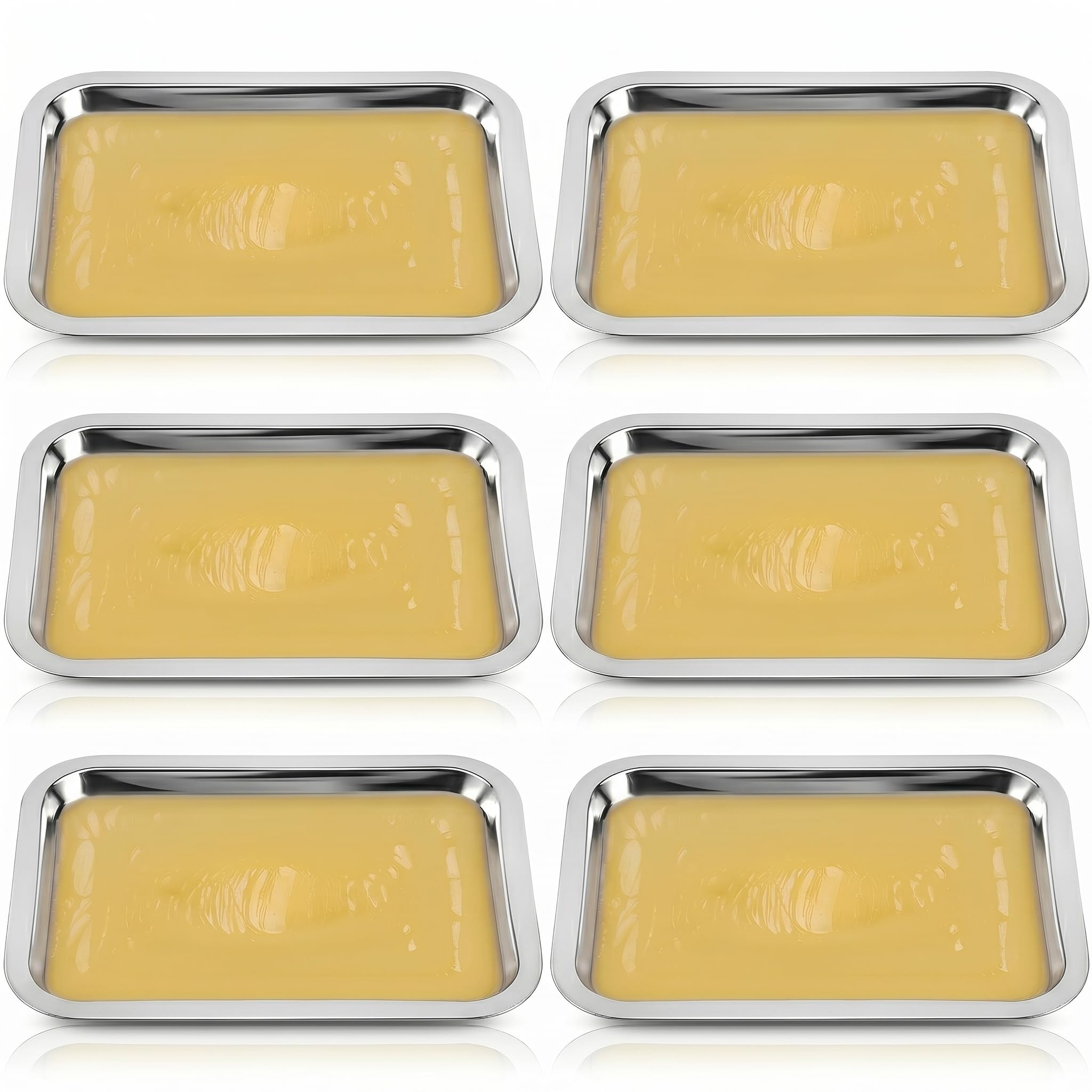 iplusmile 6 Pack Dissection Trays with Wax, 10.2 x 7.5 Inch Stainless Steel Dissection Pans, Reusable Wax Lab Trays for Biology Classroom Anatomy Science Education