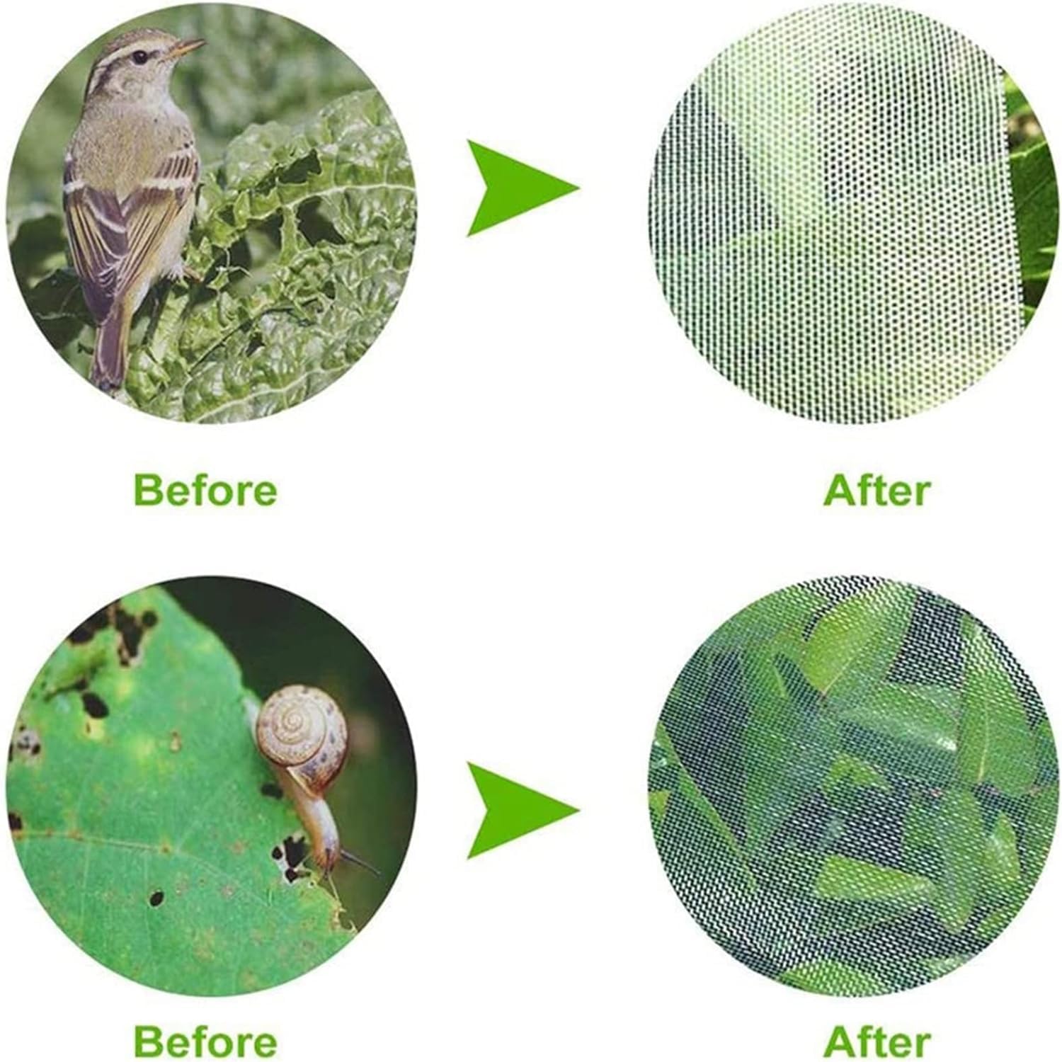Rete Anti-Insetti Per Giardino A Maglia Fine (3x10 M) – Protegge Piante E Ortaggi Da Afidi E Uccelli, Lascia Passare Luce E Acqua