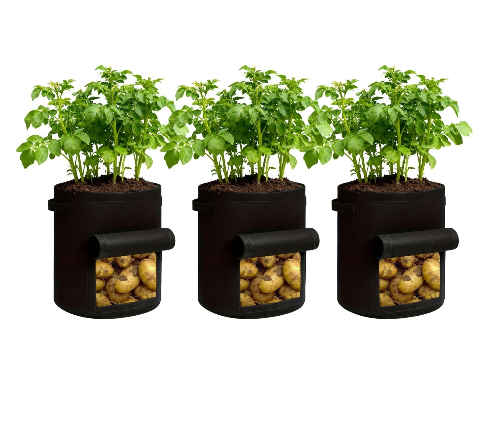 HWJFDC Potato Growing Bags 12 Pcs 5 Gallon Plant Grow Bags Thickened Non-Woven Fabric Garden Greenhouse Potato Pot Vegetable Growing(3pcs)