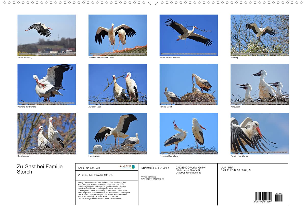 Zu Gast bei Familie Storch (Wandkalender 2022 DIN A2 quer): Störche ... gern gesehene Gäste in Deutschland (Monatskalender, 14 Seiten ) (CALVENDO Tiere)