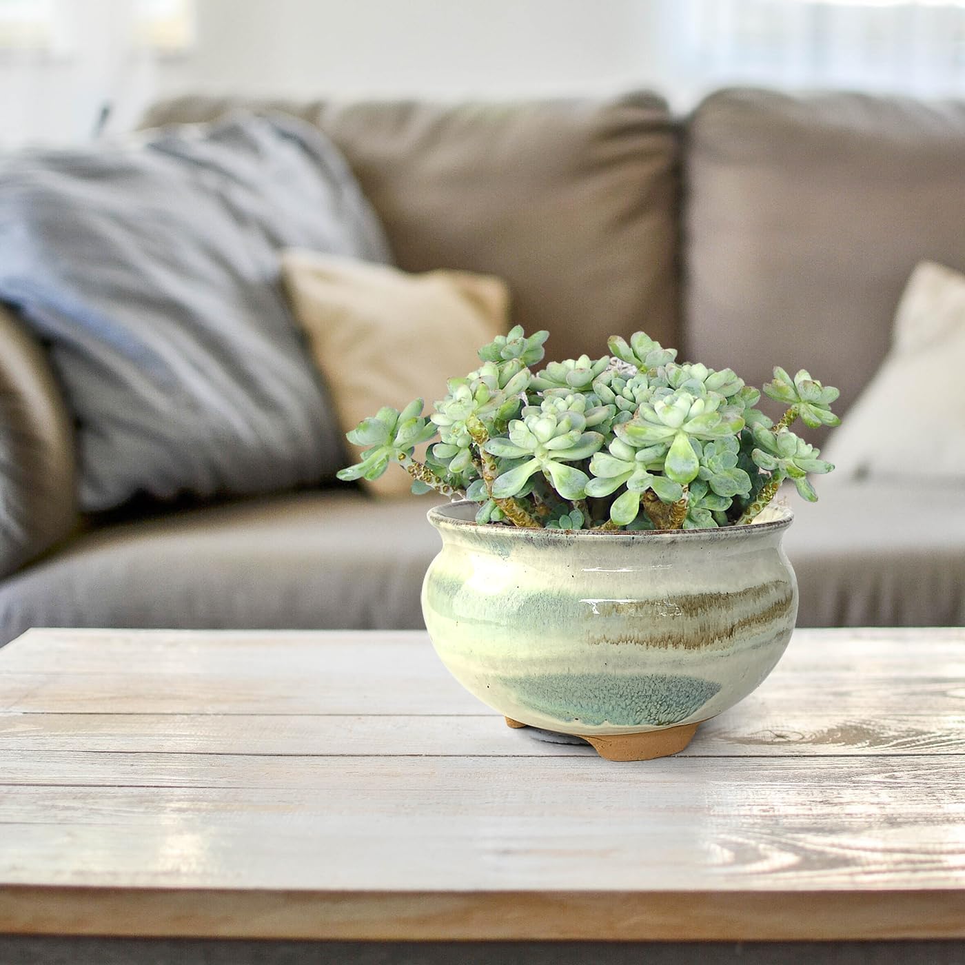 8 Inch Succulent Pot with Drainage and Saucer Glazed Terracotta Round Ceramic Succulent Planter Cactus Bonsai Plant Pot (Gream)
