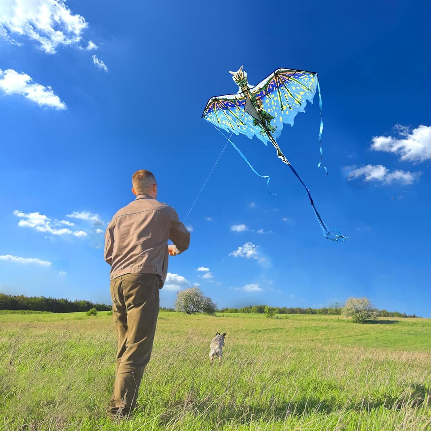 Mint’s Colorful Life Rainbow Phoenix Kite and Green Dragon Kite for Kids and Adults, Easy to Fly Large Beach Kites