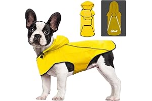 BiPawTi Dog Raincoat for Small Dogs