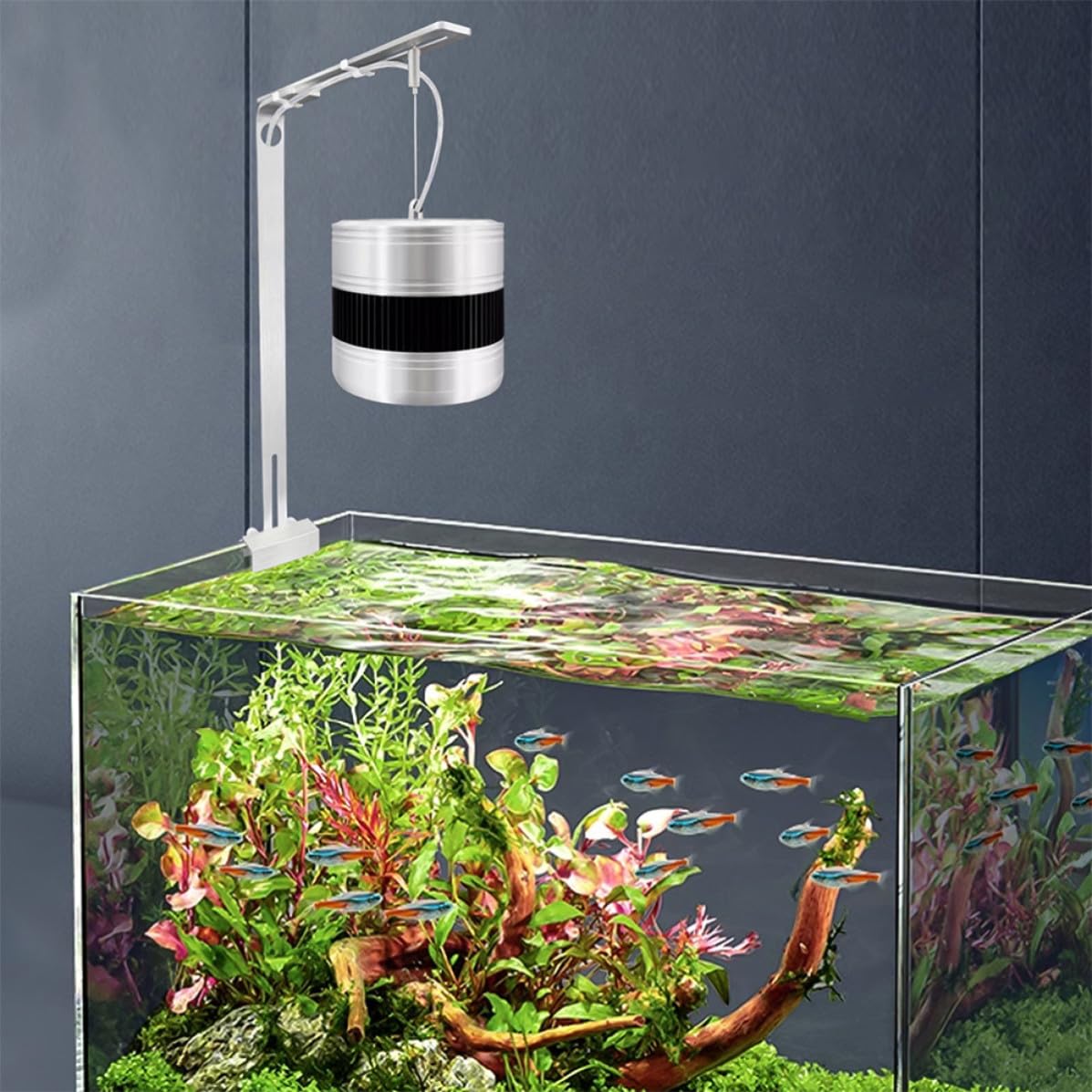 jojofuny 2 Stück Verstellbare Aquarium Leuchtenhalterung mit Klemme