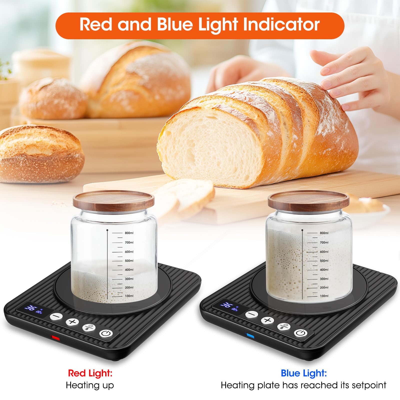 MQFORU Chauffe-levain - Contrôle précis du thermostat de 1 °C (21 à 38 °C) - Tapis chauffant au levain - Chauffe-eau pour démarrage au levain - Minuterie 0 à 24 h - Marche/arrêt automatique - Fonction