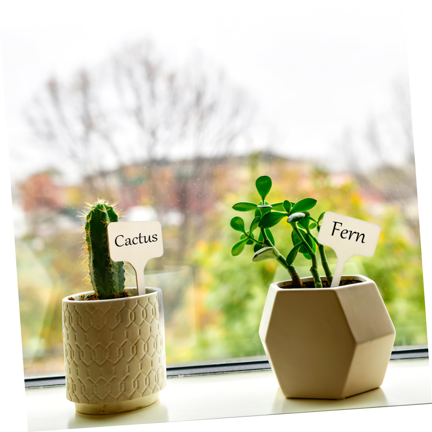 POPETPOP Lot De 4 Étiquettes De Plantes De Jardin En Bois Pour Marqueurs De Plantes D'extérieur 50 Pièces X 4