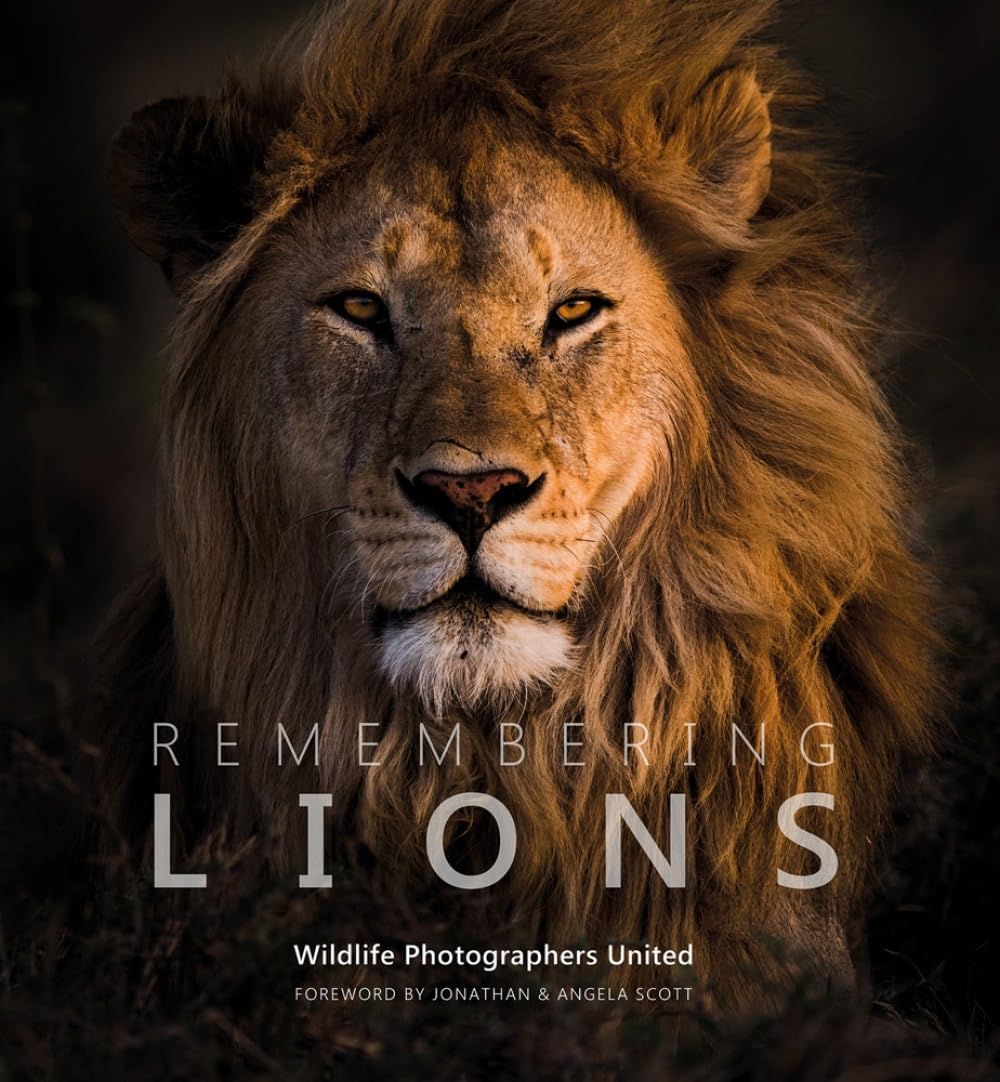 Remembering Lions (Hardback Book)