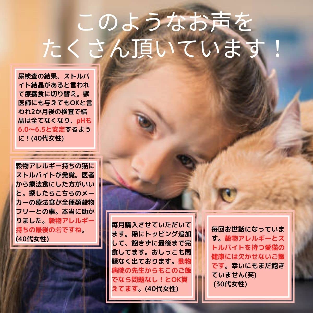 Amazon | Vet Solution ベッツソリューション 猫用 尿中 ストルバイト