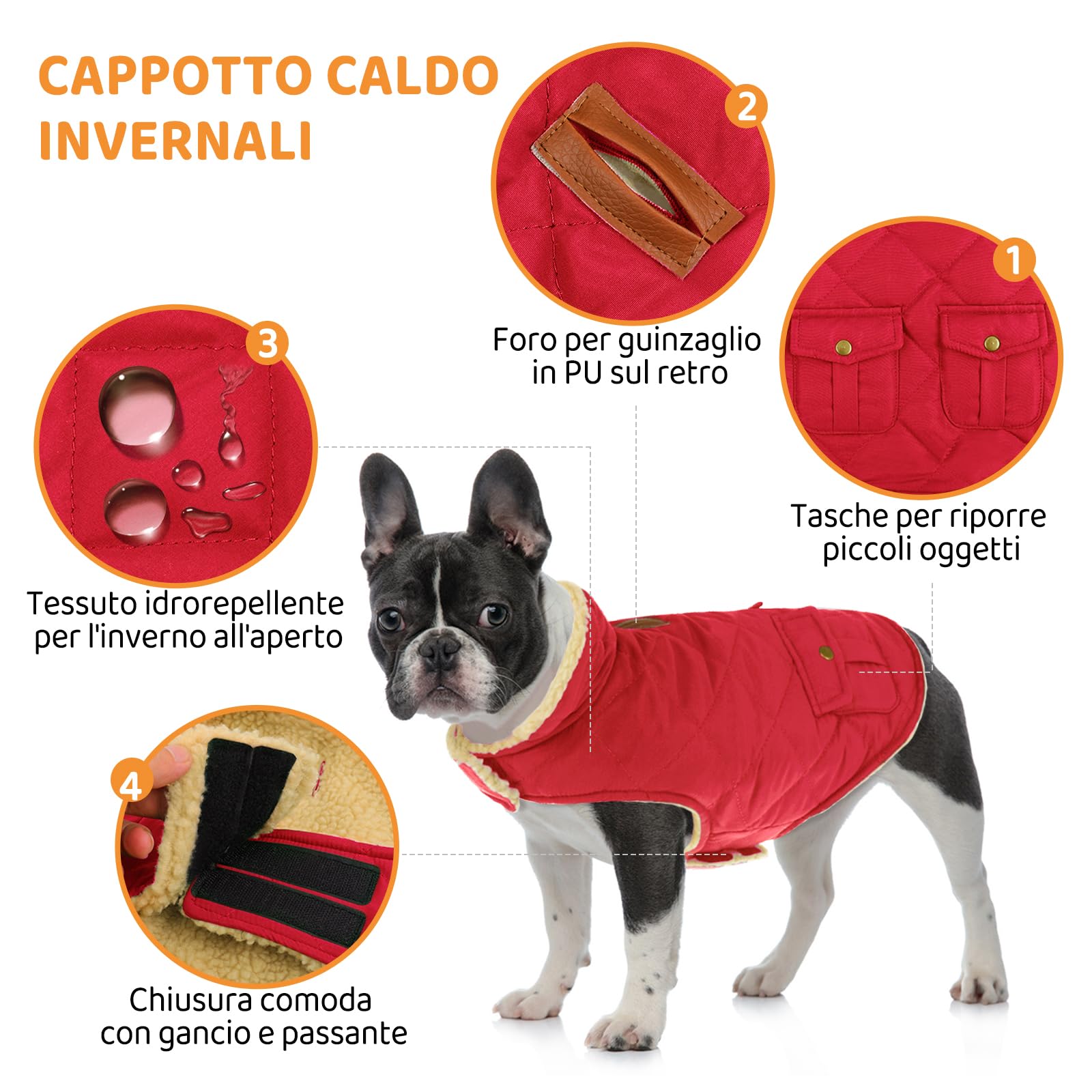 Queenmore Cappotto Caldo Impermeabile Per Cani, Giubbotto Invernale in Pile, Vestiti Per Bassotto Bulldog Francese Chihuahua, Rosso, M