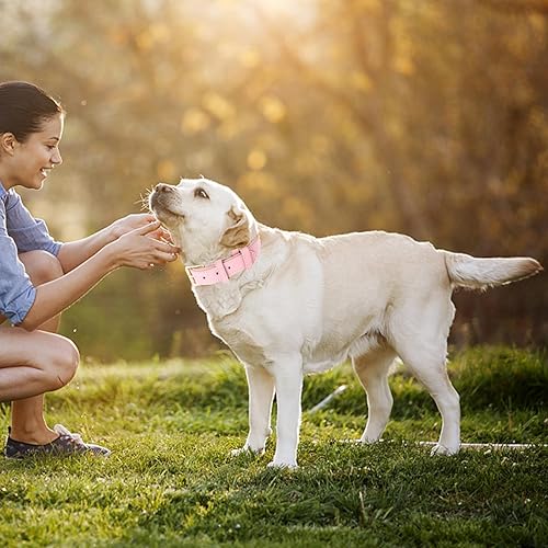 Miniatura 4 de Lmlpt Collar de cuero rosa para perros grandes, medianos y pequeños, collar de cuero genuino, acolchado suave, ajustable, grueso, con anillo en D