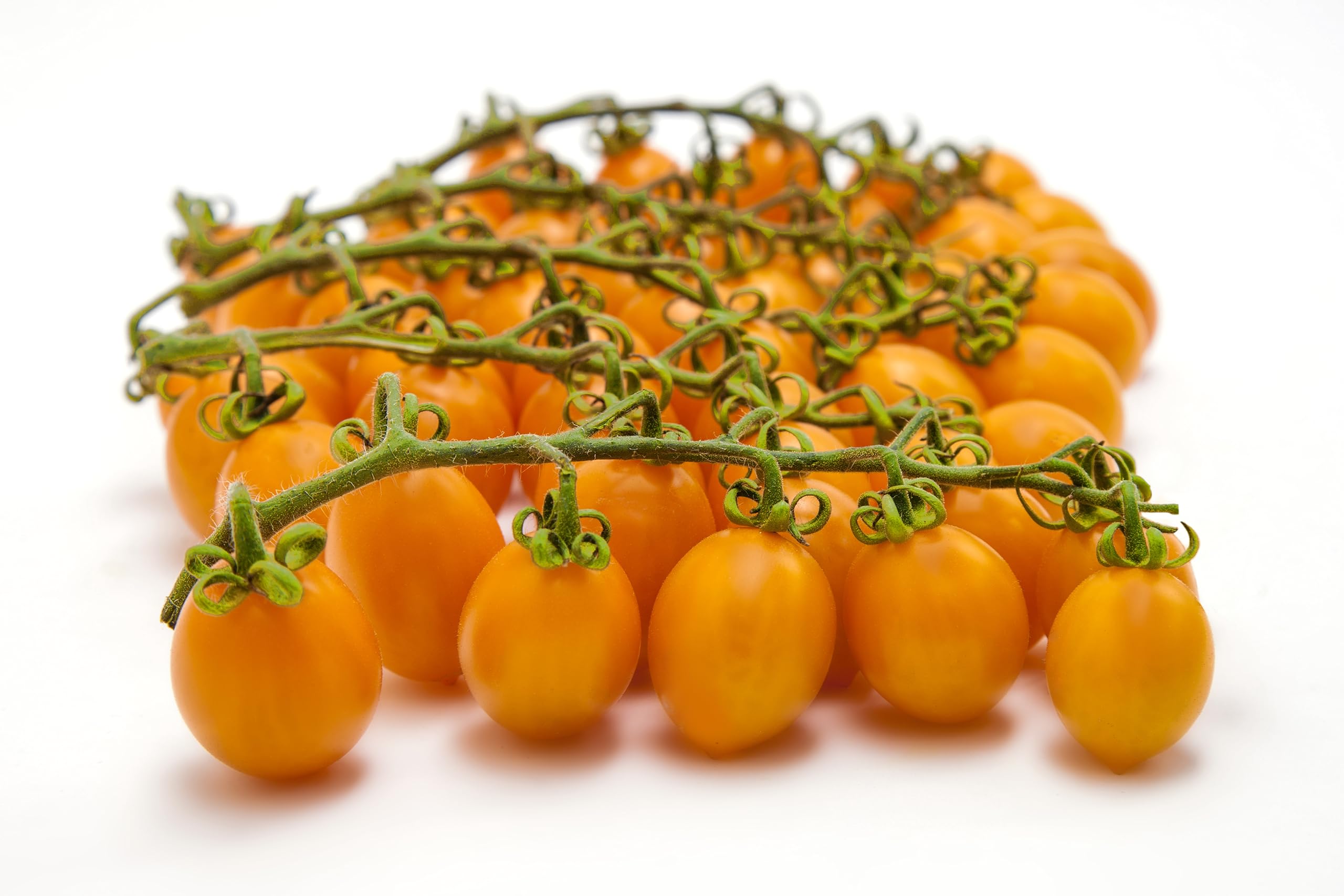 Cosi Come - Datterino, Italian Yellow Tomatoes Unpeeled (12.35 oz), Low-acid, No additives, No preservatives, 100% Natural, Non-GMO