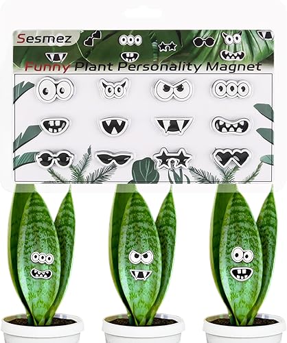 Imanes de plantas con ojos para plantas en maceta, bonitos imanes para plantas, divertidos accesorios para plantas de casa para amantes de las