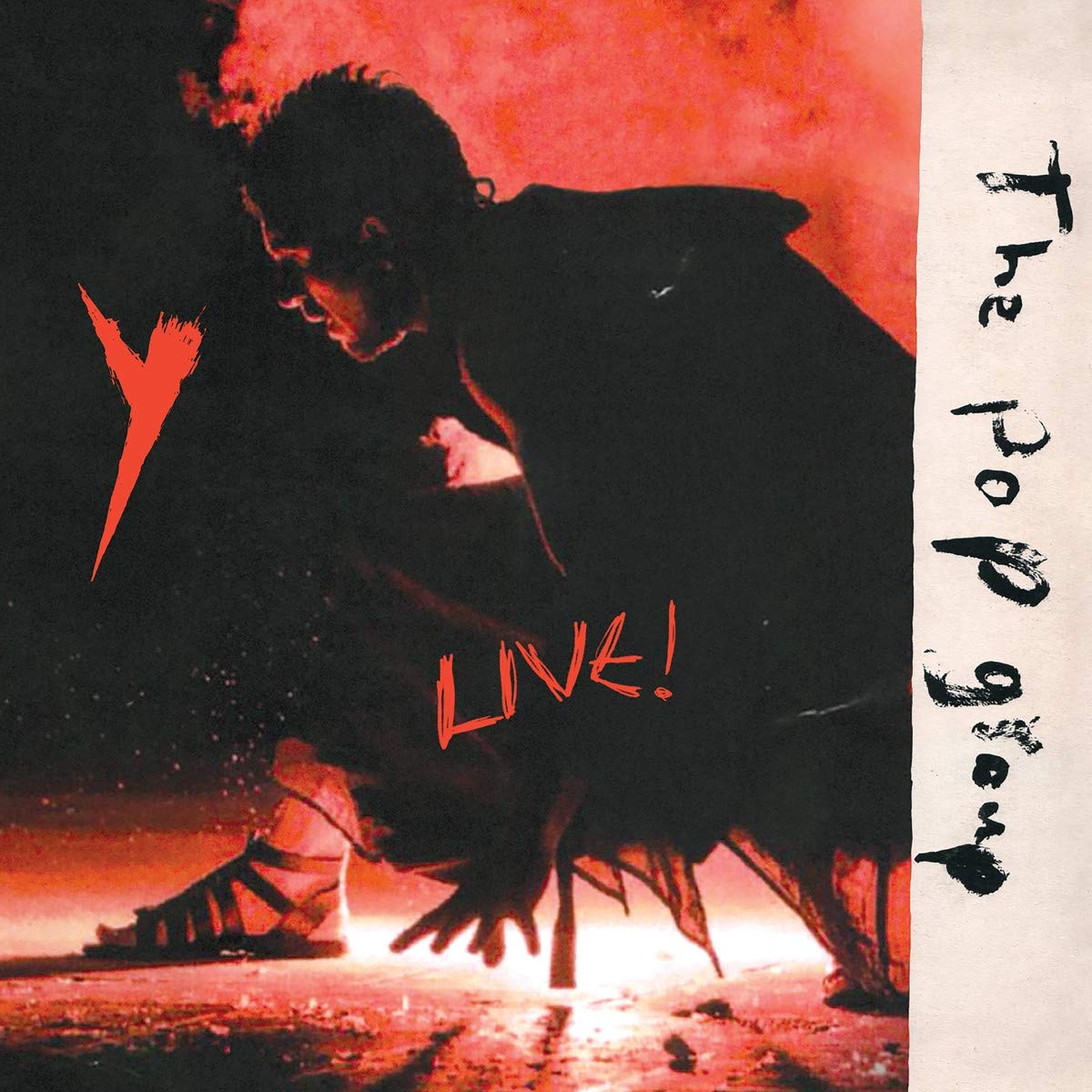 Pop Group Y Live! LP Vinyl TPGYL1 NEW