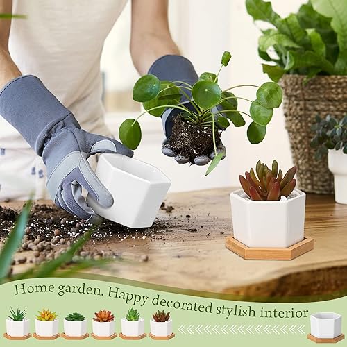 Miniatura 7 de Gerrii Macetas para suculentas, mini macetas de cerámica blanca con bandejas de madera y agujeros de drenaje para plantas, cactus, decoración