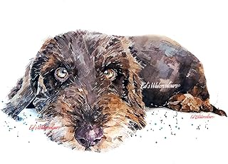 Chocolate Wire Haired Dachshund Relaxing - Print Watercolour,Wirehaired Dachshund art,Wirehaired Dachshund Print,Wirehaired Dachshund wall hanging,Wirehaired Dachshund home decor