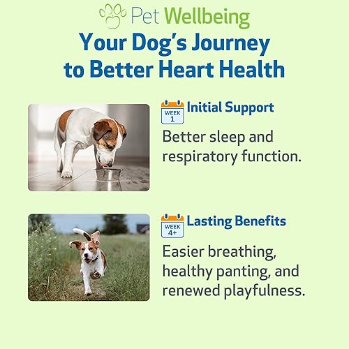 Vista 4 de Pet Wellbeing Young at Heart para perros - Apoyo a la salud cardíaca para personas mayores, bienestar cardiovascular con espino y agripalma
