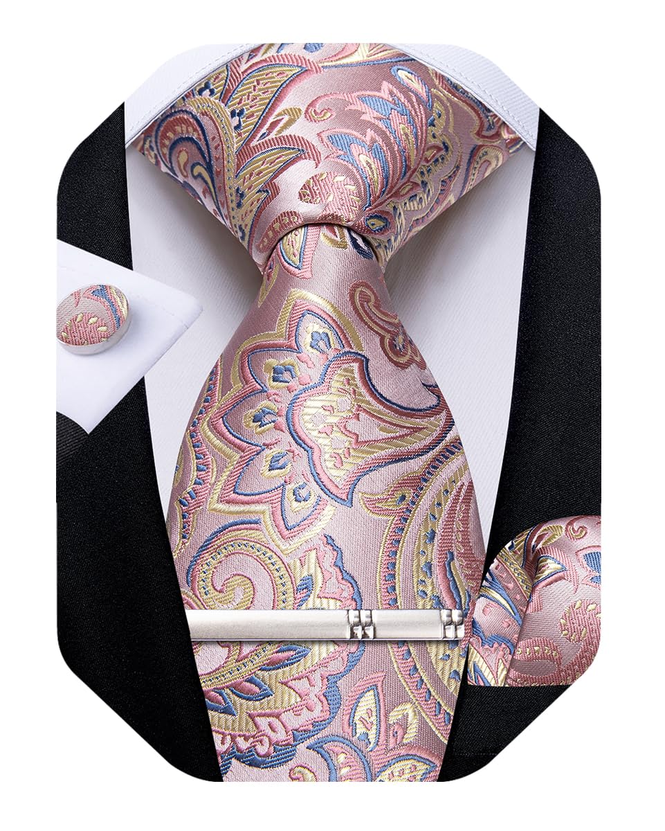 DiBanGu Silk Floral Ties for Men Woven Paisley Necktie